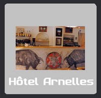 Hôtel Arnelles